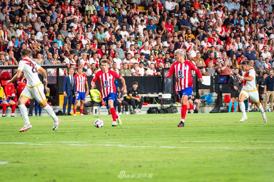 碰规则红线 碰规则红线