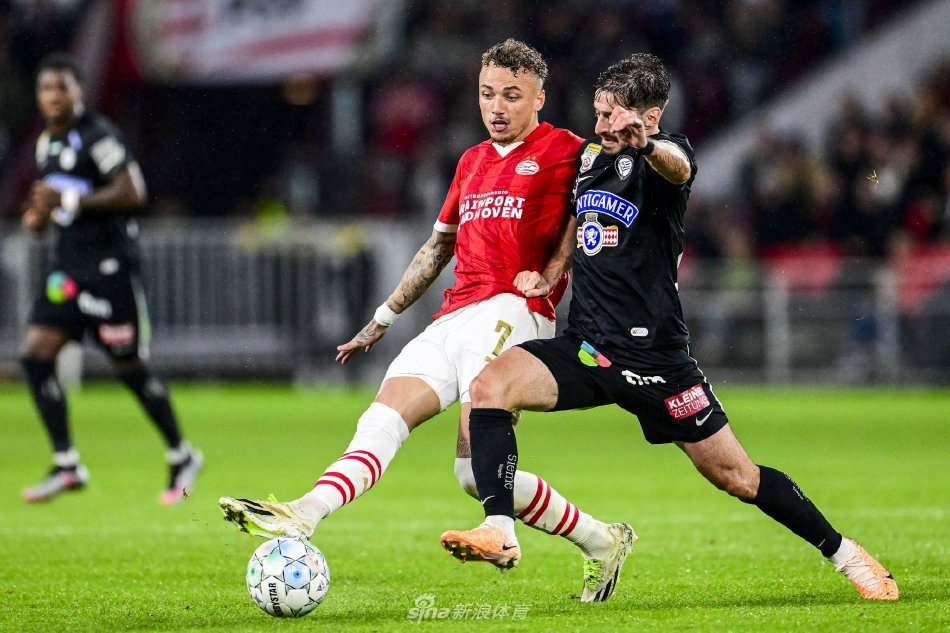 这无疑证明 这无疑证明